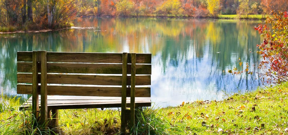 As the leaves start falling, here comes Fall