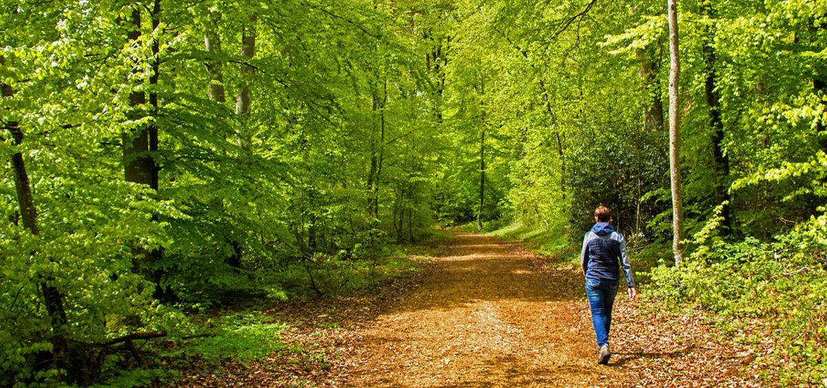 Into the woods with Juniper Joy