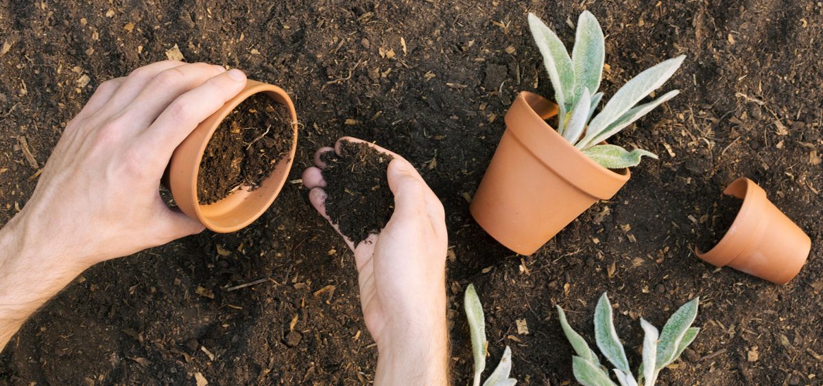 Our hands tell it all