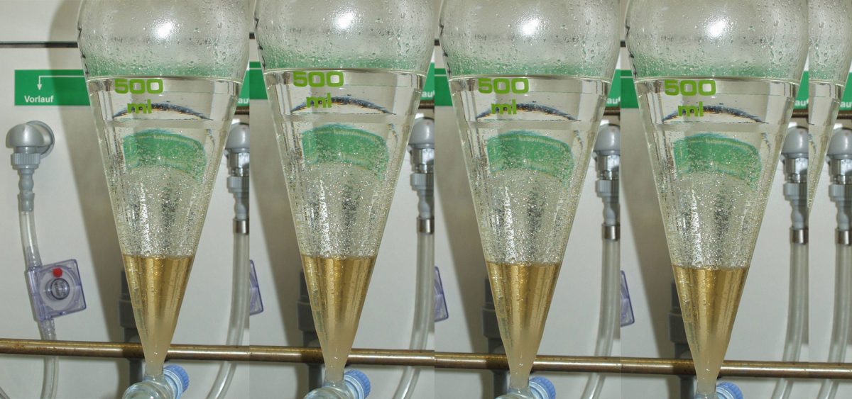 Oatmeal Extract: This century’s key ingredient to staying young and healthy