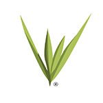 From the Editor's Desk