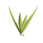 From the Editor's Desk