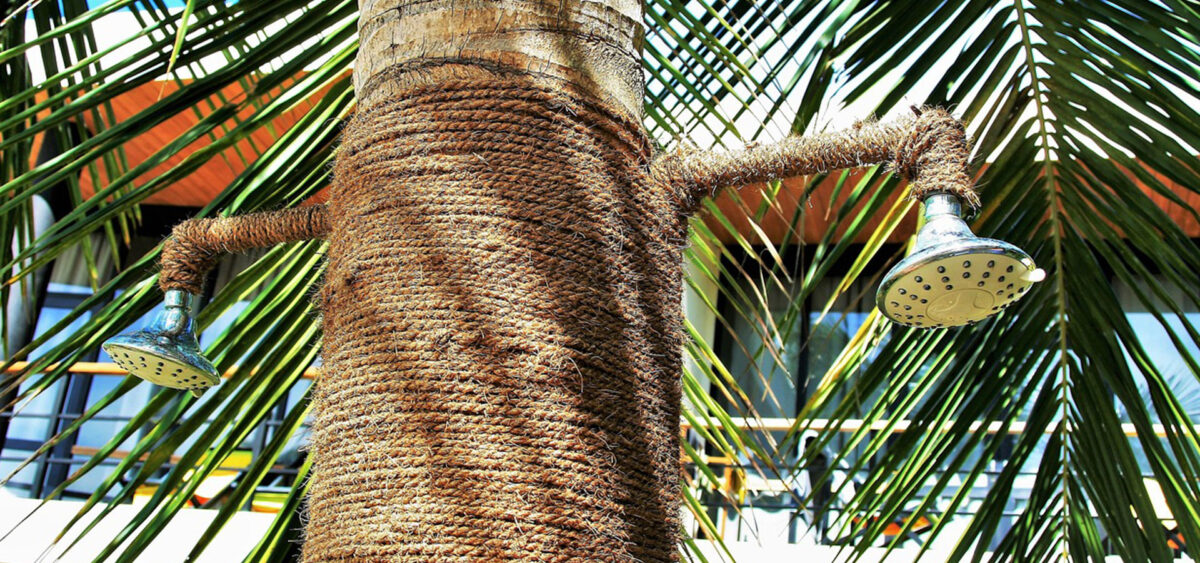 Tropical Punch Oasis