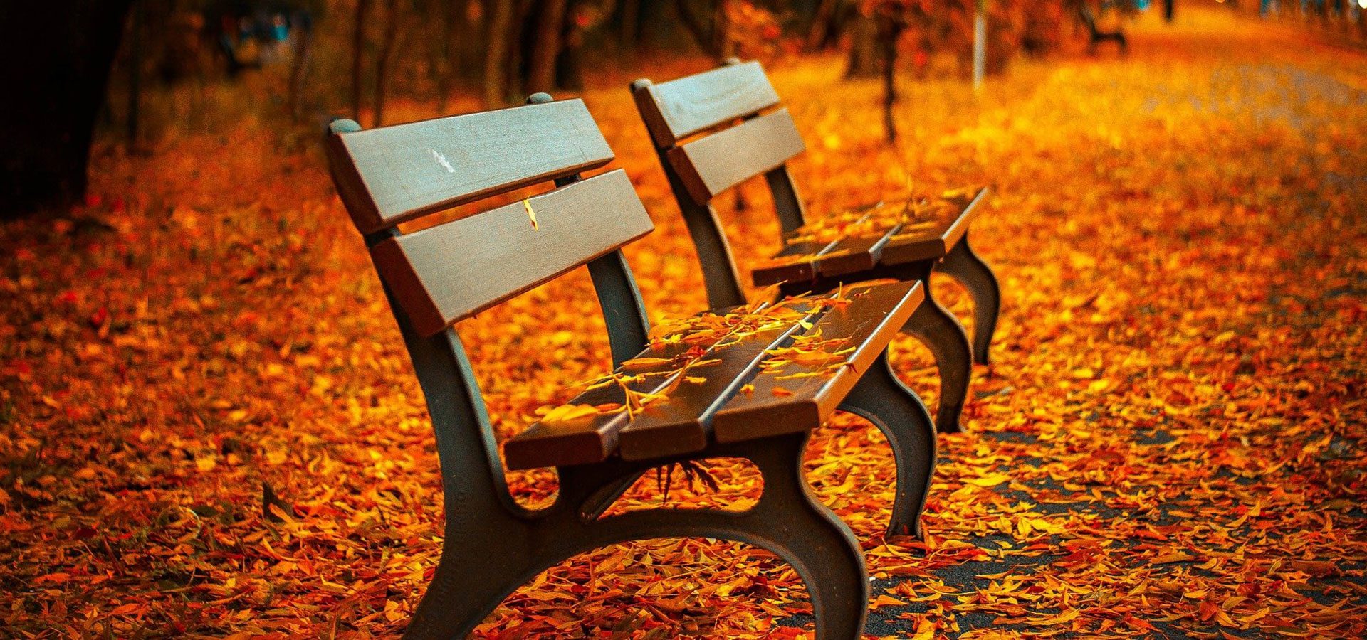 1920×900 autumn benches 1920x900 autumn benches