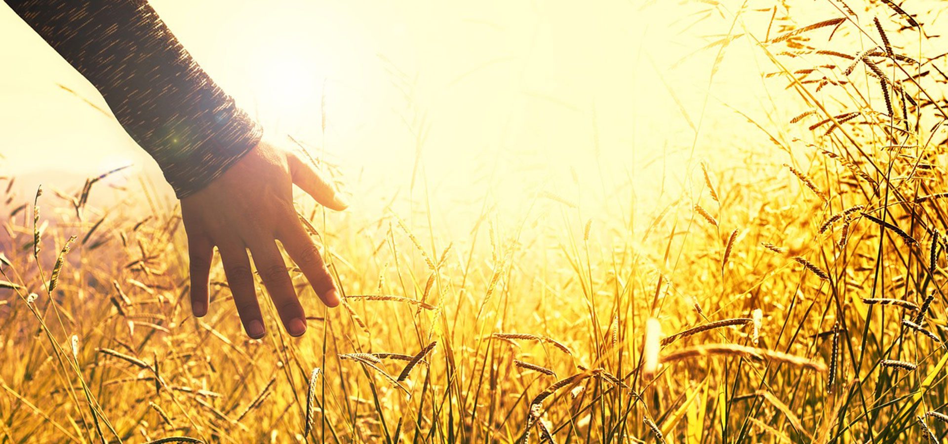 1920×900 hands sunset-lower 1920x900 hands sunset-lower