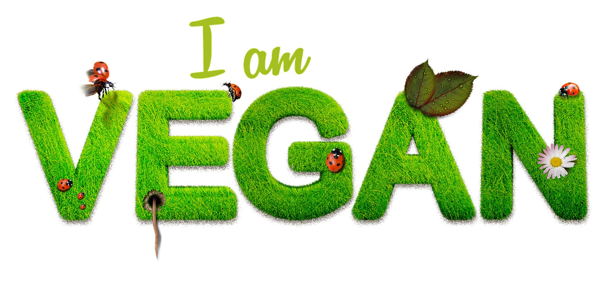 I’m Vegan 1920×900-60lower I'm Vegan 1920x900-60lower