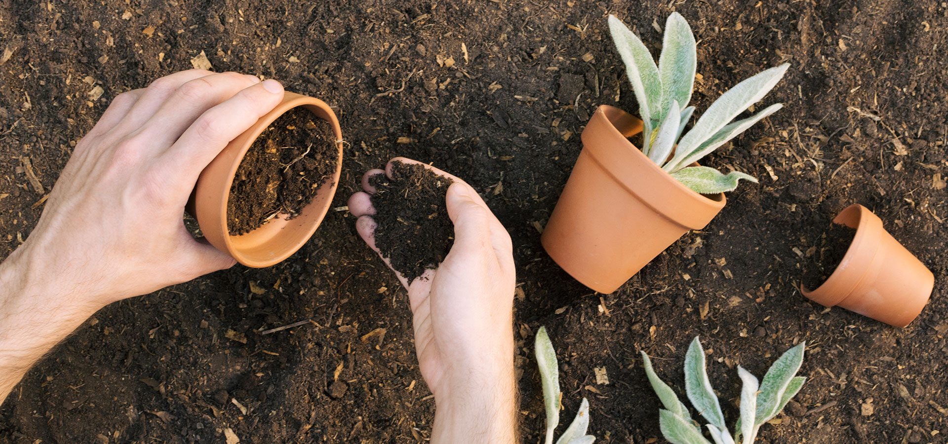 hand-gardening 1920×900-60%lower hand-gardening 1920x900-60%lower